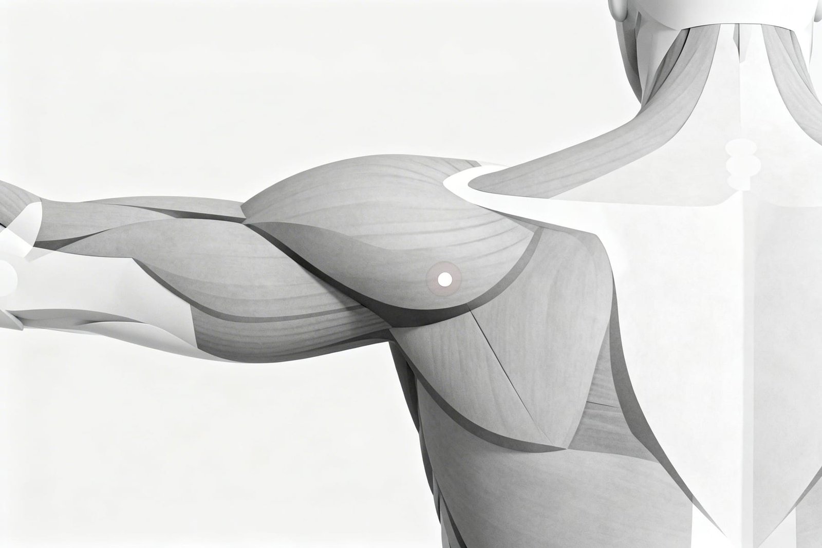 Physical Examination Technique for Trigger Points