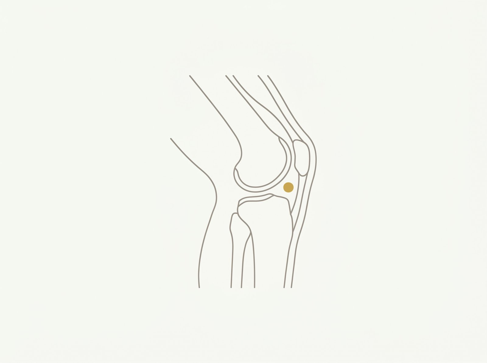 Knie- und Patellofemoralschmerzen