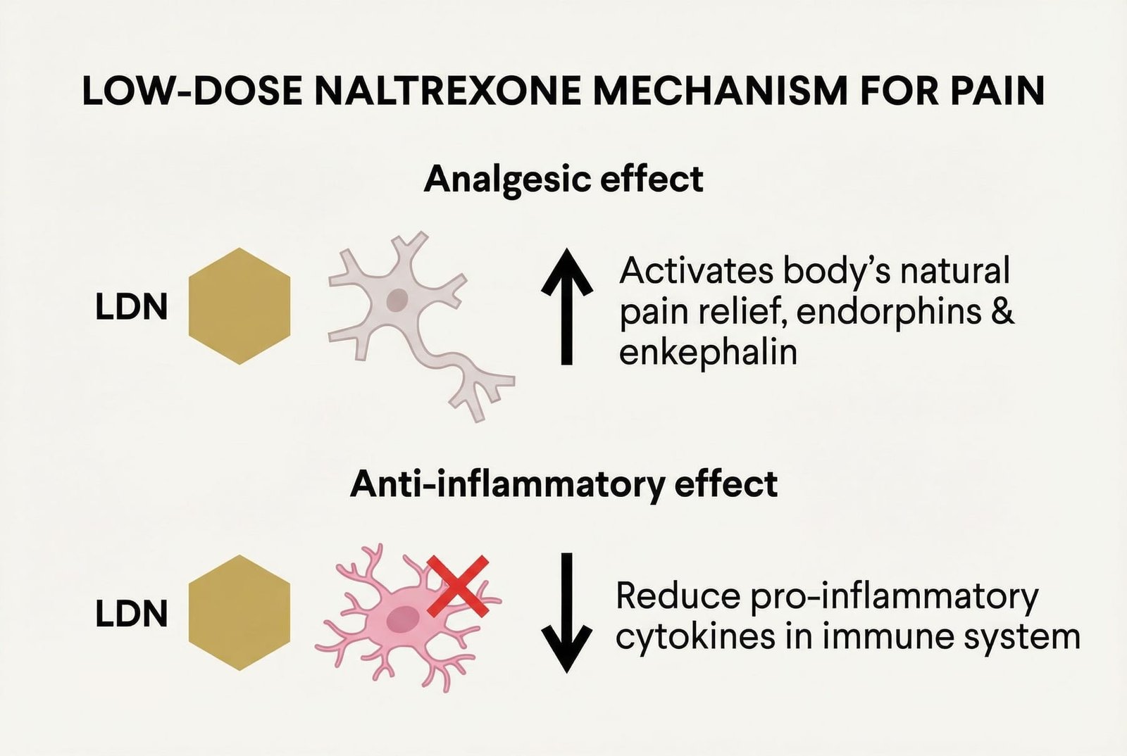 Mechanisms of Action