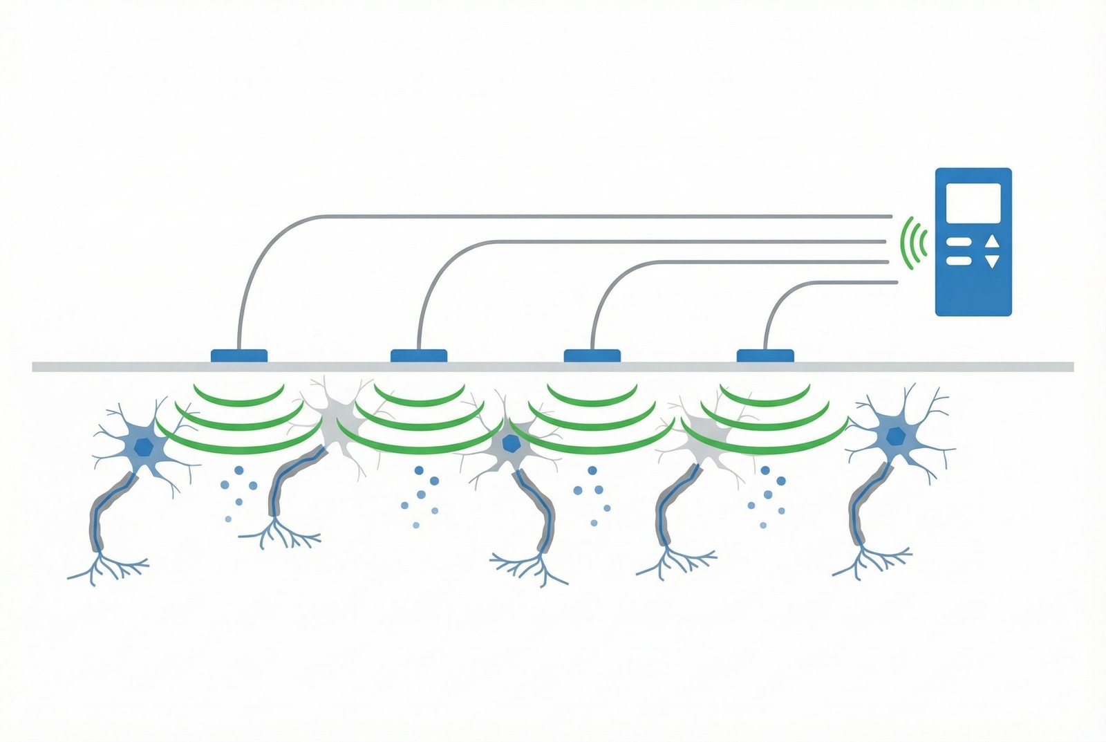 Mechanism of Action