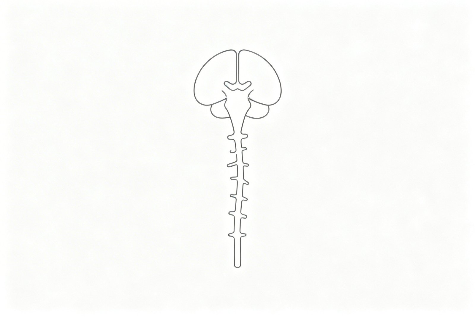 Stress Pain Connection
